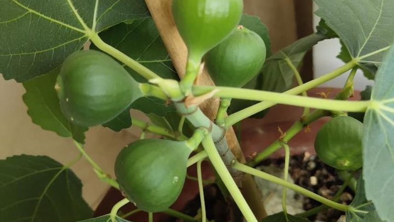 机房改造强弱电布线方案设计：关键要素与实施要点**